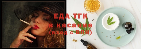 индика Абаза