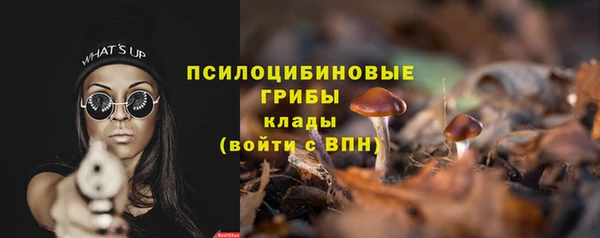 spice Абинск