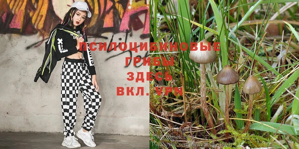 spice Абинск