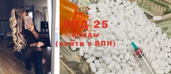 индика Абаза