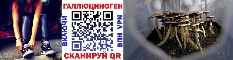 Псилоцибиновые грибы мухоморы Электросталь