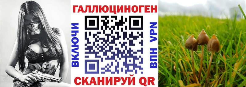 Псилоцибиновые грибы Magic Shrooms omg зеркало Электросталь